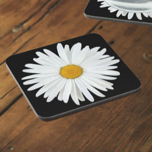 Posavasos Flor de margarita blanca sobre flor negra