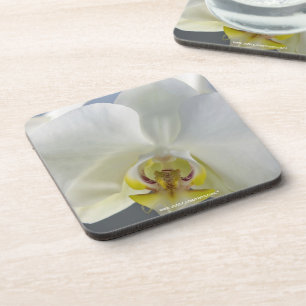 Posavasos Flor de orquídea blanca