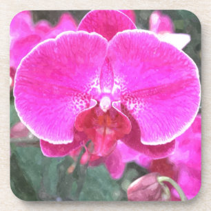 Posavasos Flor de orquídea rosa, fotografía floral