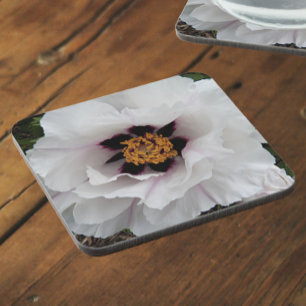 Posavasos Flor de peonía de árbol blanco