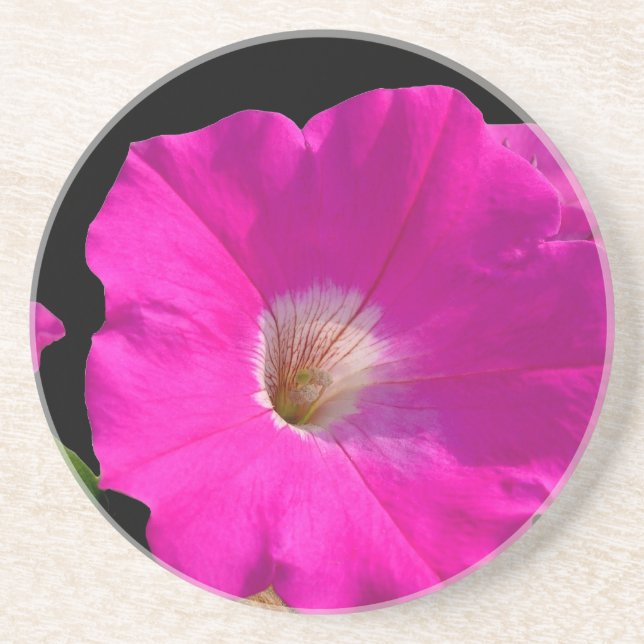 Posavasos flor de petunia rosa (Frente)