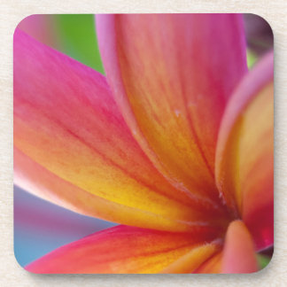 Posavasos Flor de Plumeria Tropical Rosa Profunda Naranja Am