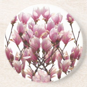 Posavasos Flor de primavera de Magnolias rosadas en flor