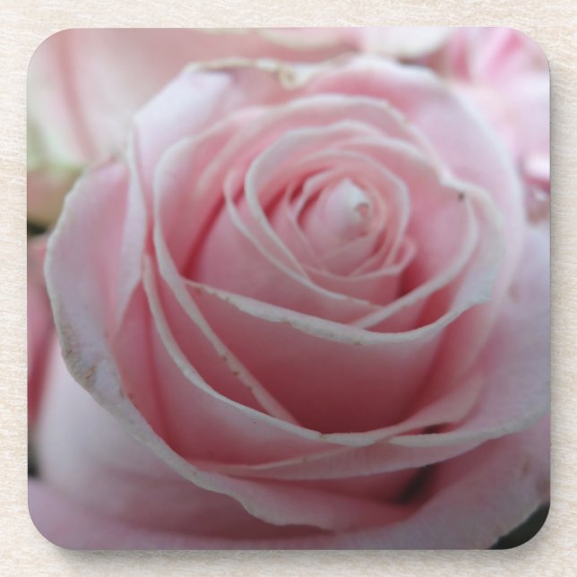 Posavasos Flor de rosa linda (Frente)