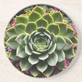 Posavasos Flor de Suculenta Radiante