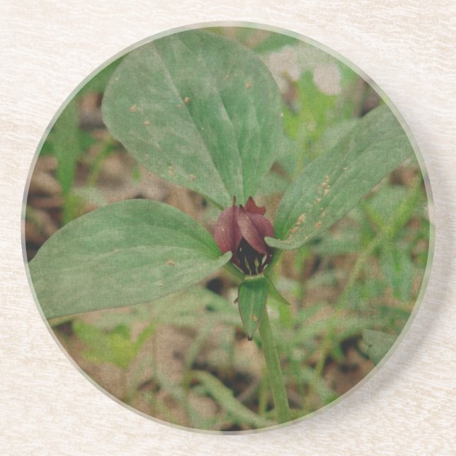 Posavasos Flor de trilio (Frente)
