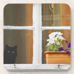 Posavasos Flor en la ventana, Sighisoara, Rumania