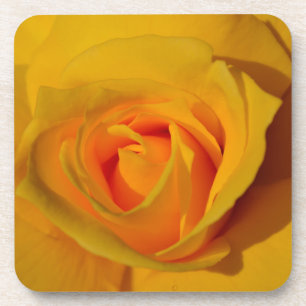 Posavasos Flor floral elegante Rosa Amarilla