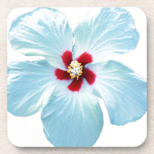 Posavasos Flor hawaiana del hibisco