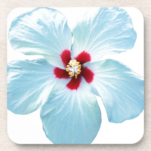 Posavasos Flor hawaiana hibiscus (Frente)