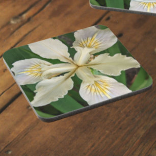 Posavasos Flor Iris Bloom Iris Inmaculada