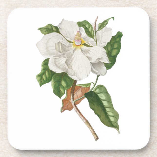 Posavasos Flor: Magnolia A004 - (Frente)
