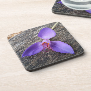 Posavasos Flor morada en un banco