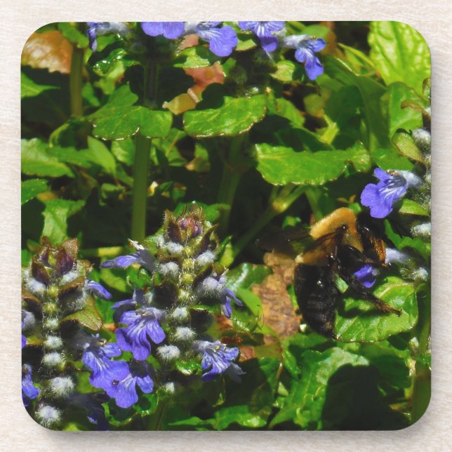 Posavasos Flor morada y abeja burbuja (Frente)