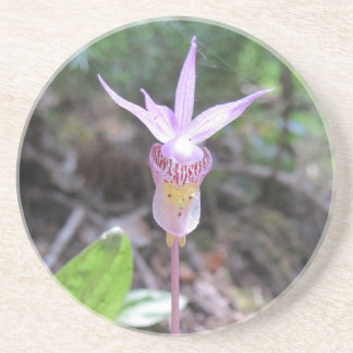 Posavasos Flor Orquídea