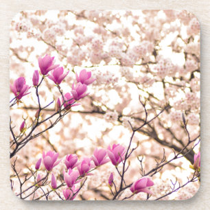 Posavasos Flor Primaria de Magnolias Púrpuras y Florecientes