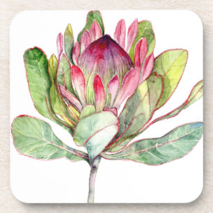 Posavasos Flor Protea