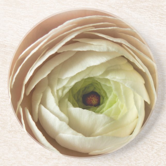 Posavasos Flor Ranunculus (Frente)