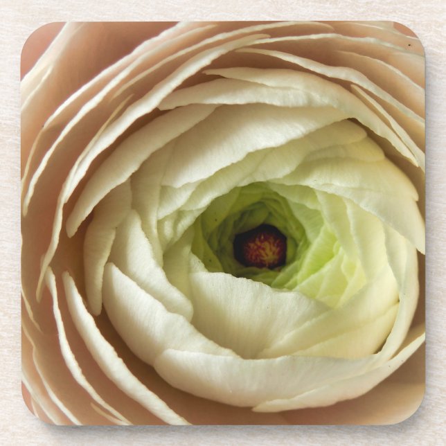 Posavasos Flor Ranunculus (Frente)