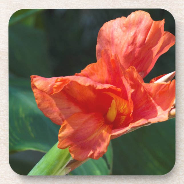 Posavasos Flor roja (Frente)