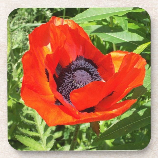 Posavasos Flor Roja Brillante En Verde (Frente)