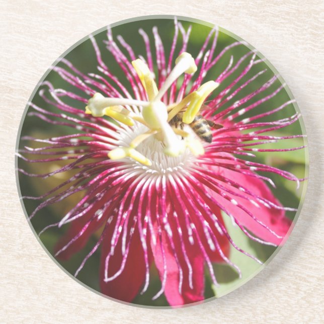 Posavasos Flor roja de la pasión con la abeja (Frente)