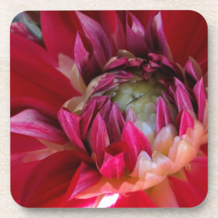 Posavasos flor roja oscura