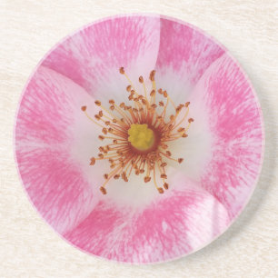 Posavasos flor rosa a la sombra