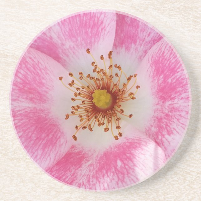 Posavasos flor rosa a la sombra (Frente)