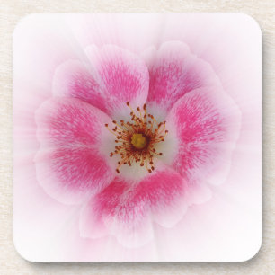Posavasos flor rosa brillante