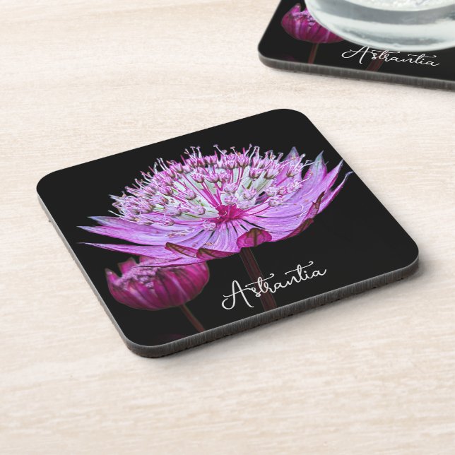 Posavasos Flor rosa de Astrantia sobre floral negra (Lado Izquierdo)