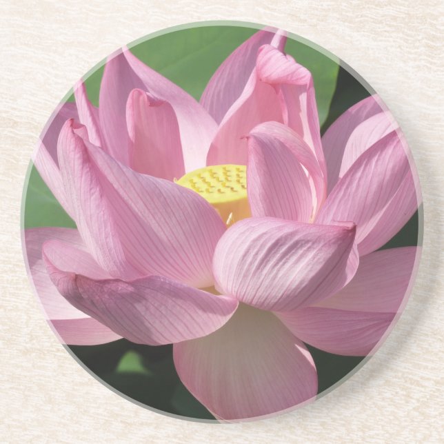 Posavasos Flor rosa Lotus IV (Frente)