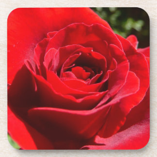 Posavasos Flor rosa roja brillante hermosa flor
