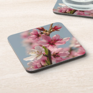 Posavasos Flor sakura, flor japonesa rosa