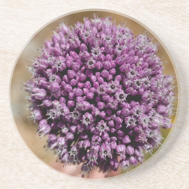 Posavasos Flor salvaje (Frente)