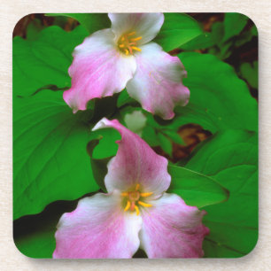 Posavasos Flor silvestre de Trillium