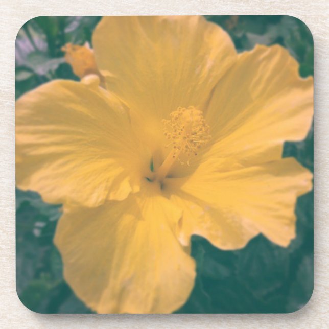 Posavasos Flor tropical de aspecto (Frente)