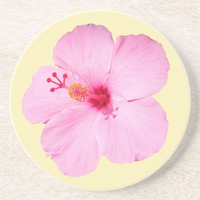 Posavasos Flor tropical Hibiscus rosa (Frente)