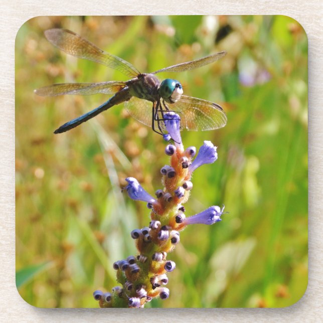 Posavasos Flora de lavanda (Frente)