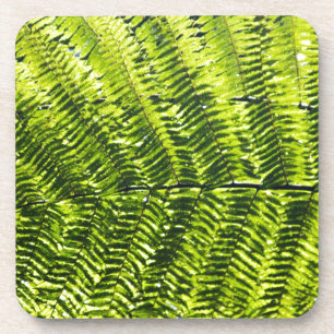 Posavasos Flora Dominica 5