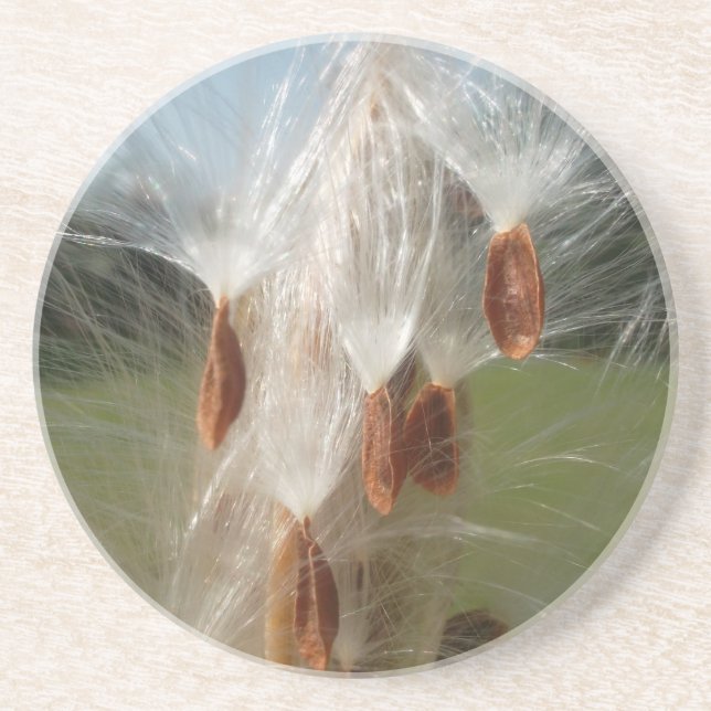 Posavasos Flora y fauna de la época flotando.jpg (Frente)