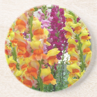 Posavasos Floral colorida de Snapdragons