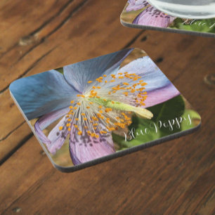 Posavasos Floral de amapola azul