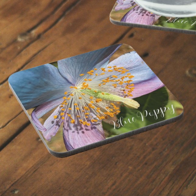 Posavasos Floral de amapola azul (In Situ)