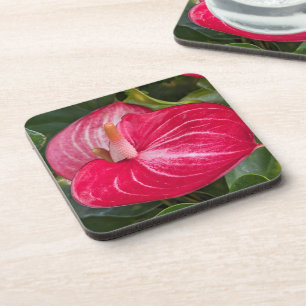 Posavasos Floral de anturio rojo