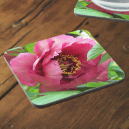 Posavasos Floral de arbol rojo