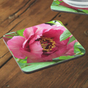 Posavasos Floral de arbol rojo