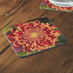 Posavasos Floral de crisantemo rojo y amarillo