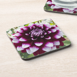 Posavasos Floral de Dahlia con decoración rosa y blanca
