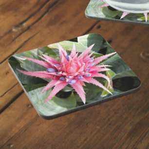 Posavasos Floral de flor de flor de planta de envergadura pl